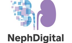 NephDigital Vertical Color Logo square